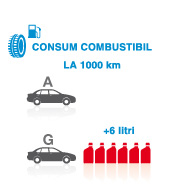 eticheta consum combustibil